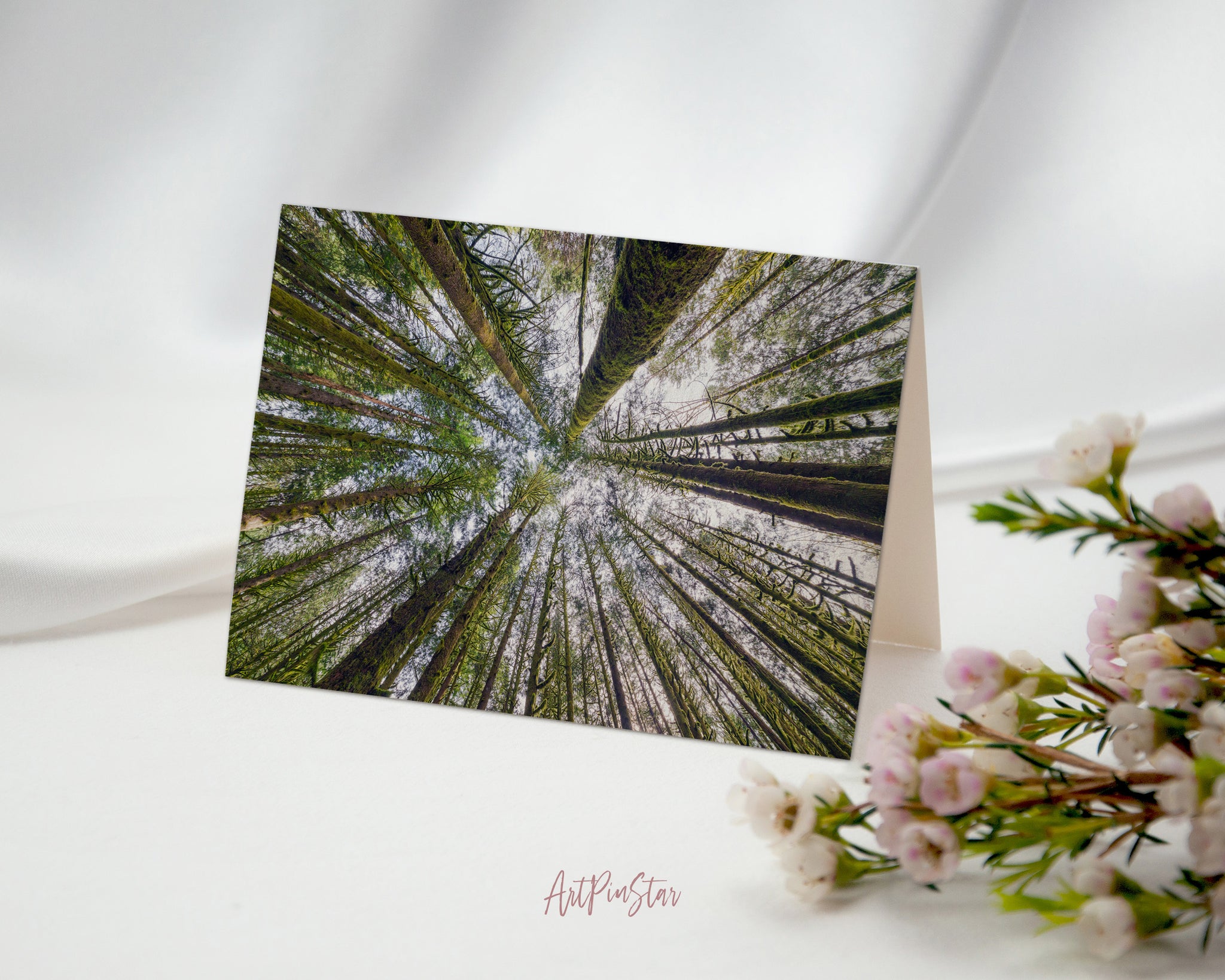 Forest Gold Creek, Golden Ears Provincial Park, Maple Ridge, British Columbia, Canada Landscape Custom Greeting Cards