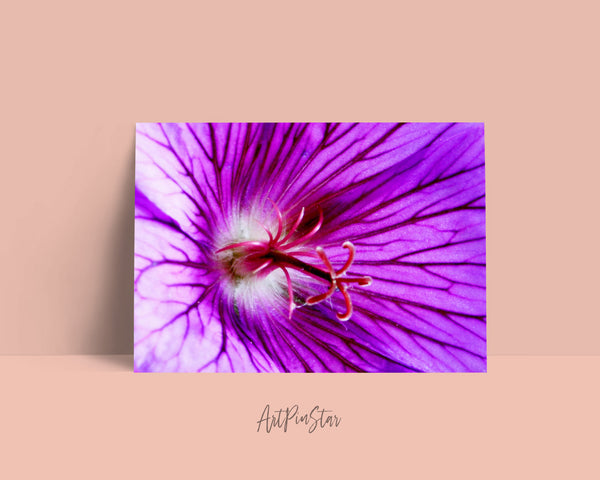 Cranesbill Geranium Flower Photo Art Customized Gift Cards
