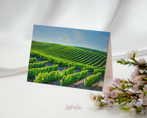 Napa Valley Vineyards, California Landscape Custom Greeting Cards