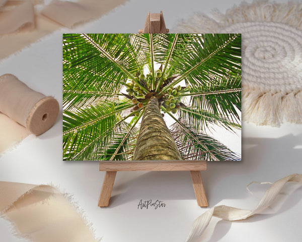 Forest Coconut Tree Landscape Custom Greeting Cards