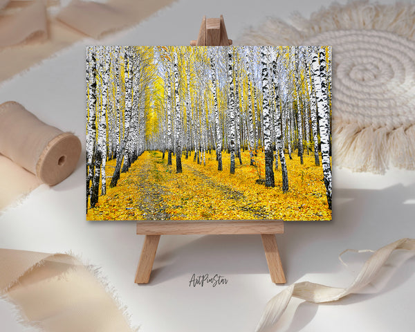 Autumn Birch Tree Forest Landscape Custom Greeting Cards
