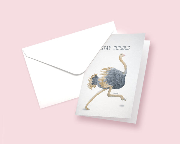 Stay Curious Ostrich Animal Greeting Cards