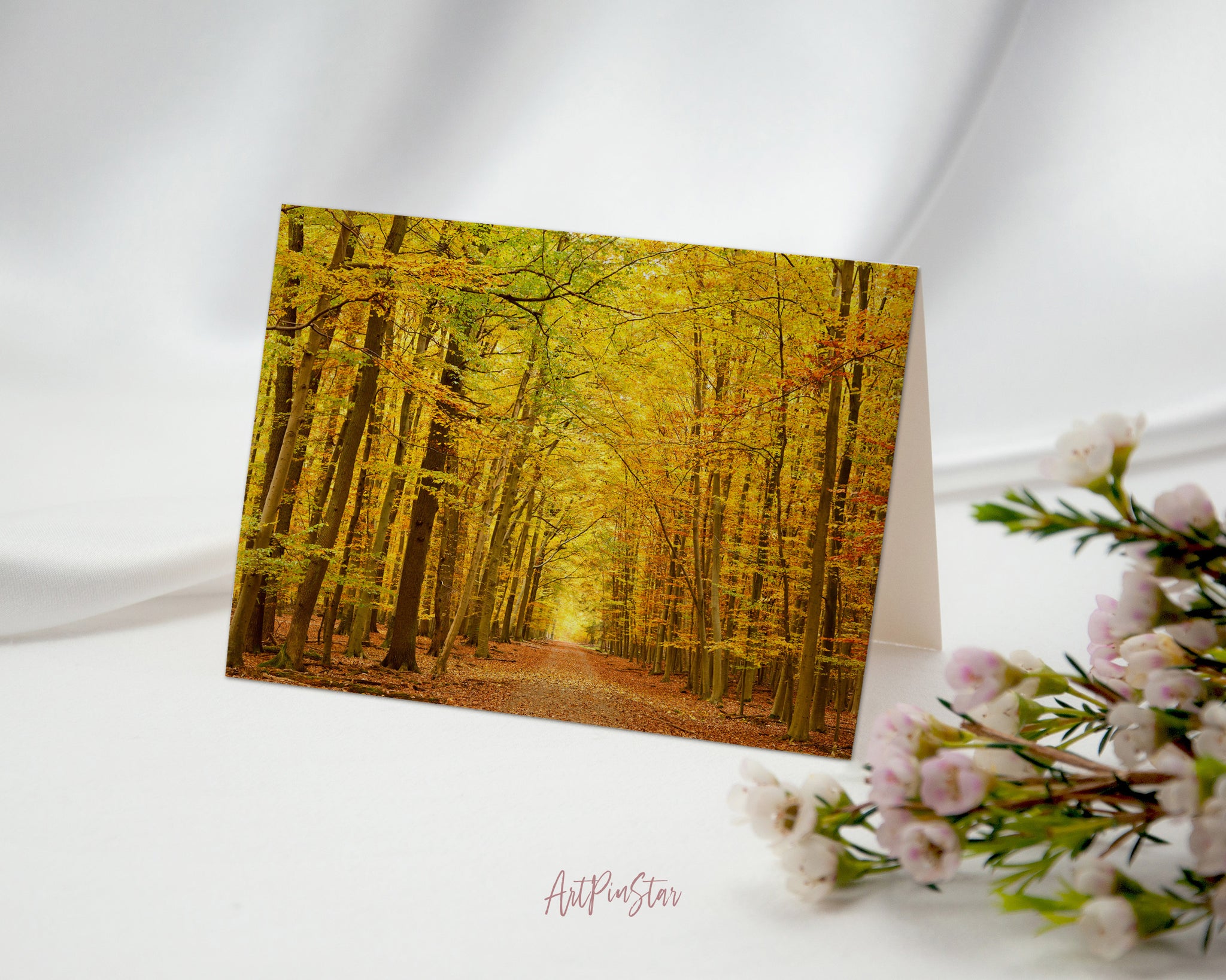 Autumn Park Pathway Landscape Custom Greeting Cards