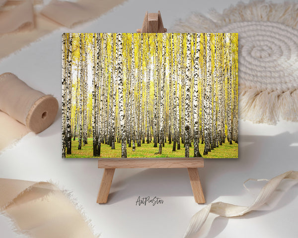 Birch Grove Trees Autumn Landscape Pattern Greeting Cards