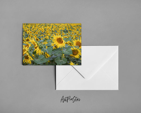 Blooming Helianthus Sunflower Spring Field Landscape Custom Greeting Cards