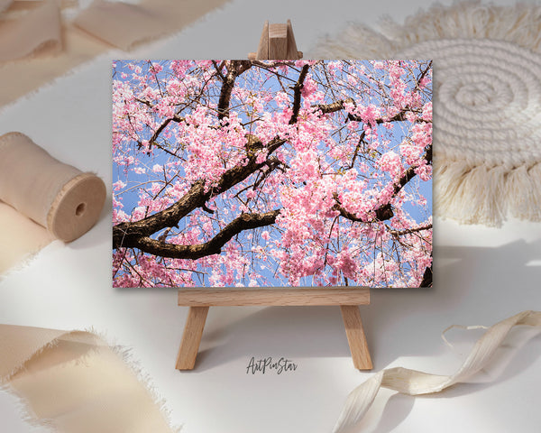 Cherry Blossoms (Sakura) Haradani-en Garden, Kyoto, Japan Landscape Custom Greeting Cards