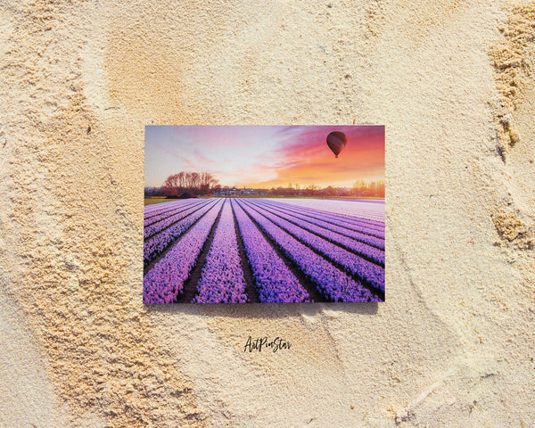 Tulip Field of Blooming Purple Landscape Custom Greeting Cards