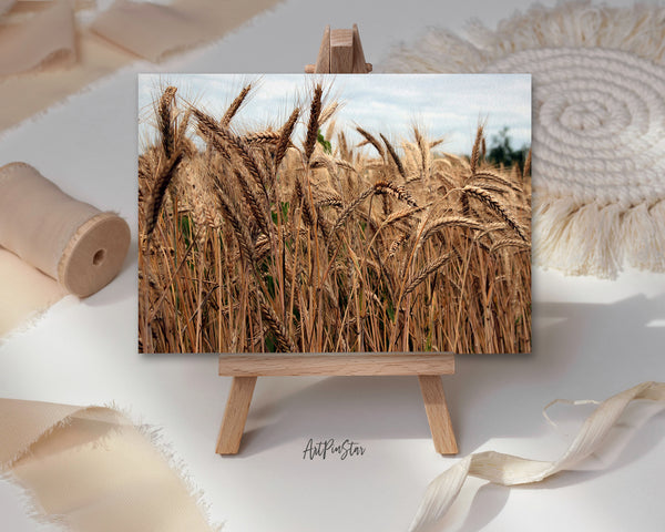 Grain Paddy Field Harvest Landscape Custom Greeting Cards