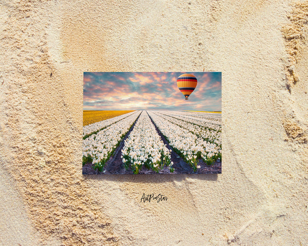 Tulip Field of Blooming White Landscape Custom Greeting Cards