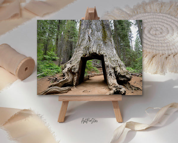 Giant Sequoia Tree Yosemite Valley National Park Landscape Custom Greeting Cards