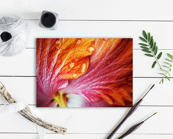 Hibiscus Flower Photo Art Customized Gift Cards