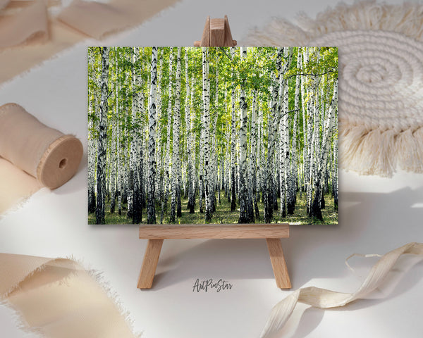 Birch Grove Trees Summer Landscape Custom Greeting Cards