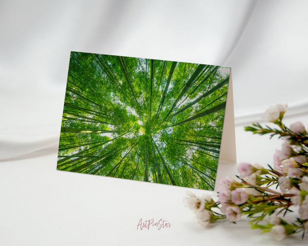 Forest Bamboo Landscape Custom Greeting Cards