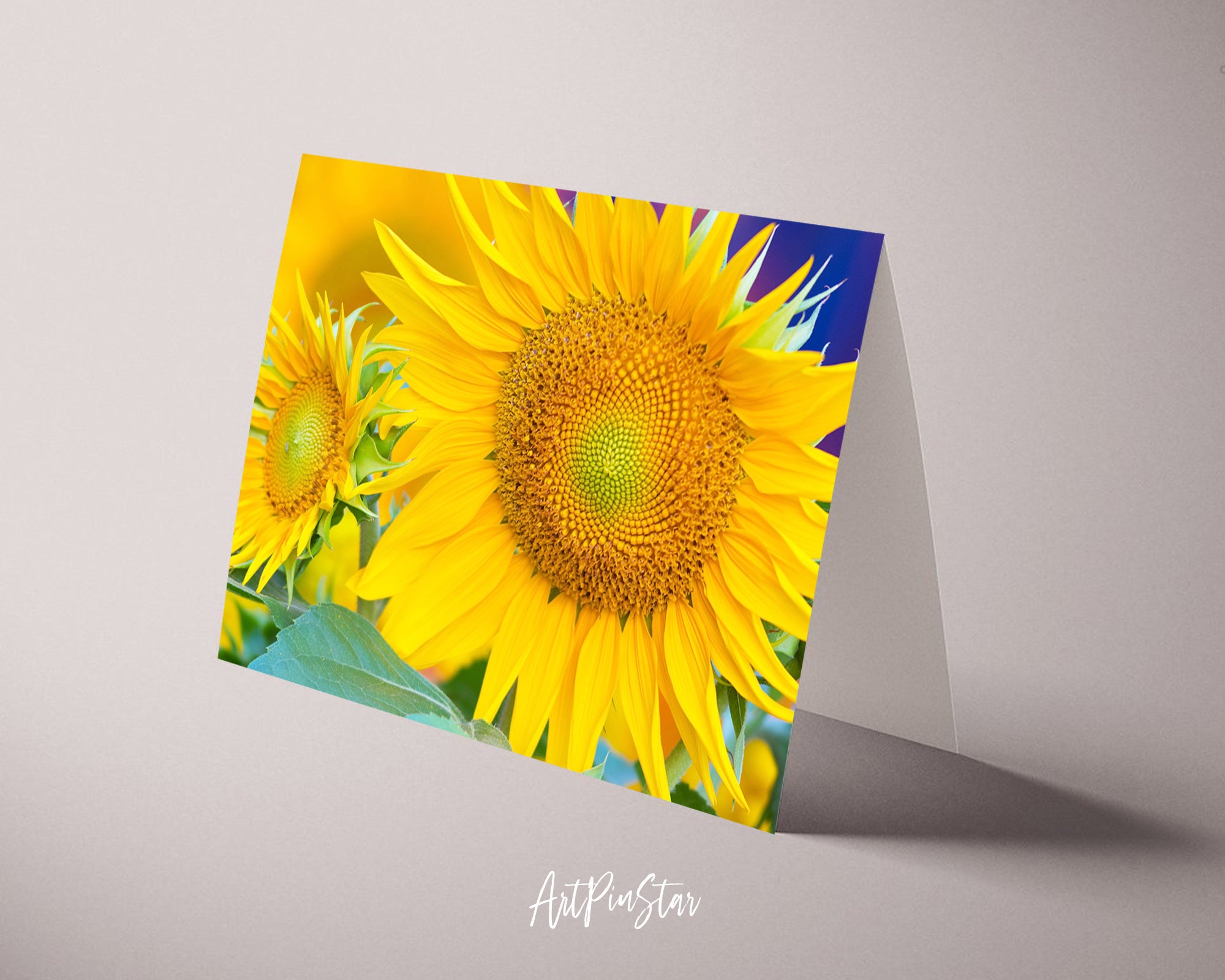 Sunflowers Flower Photo Art Customized Gift Cards