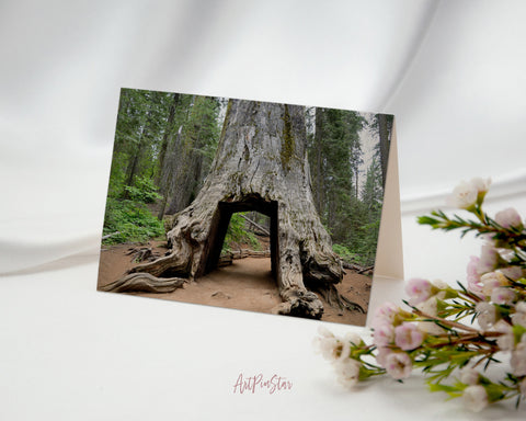 Giant Sequoia Tree Yosemite Valley National Park Landscape Custom Greeting Cards