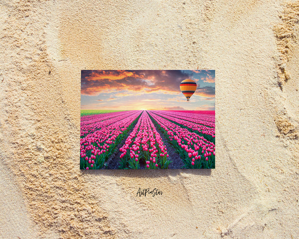 Tulip Field of Blooming Pink Landscape Custom Greeting Cards