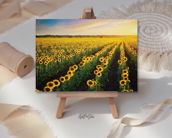 Field of Sunflowers Landscape Custom Greeting Cards