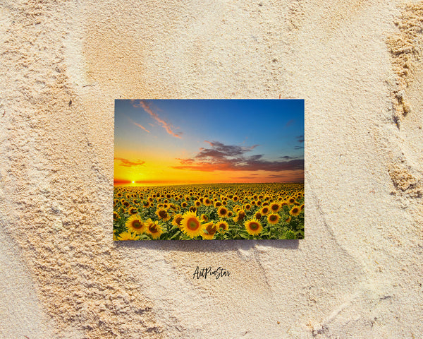 Blooming Sunflowers Field Landscape Custom Greeting Cards