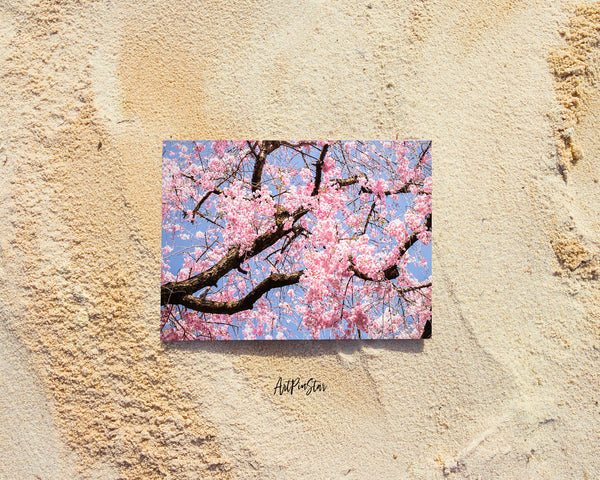Cherry Blossoms (Sakura) Haradani-en Garden, Kyoto, Japan Landscape Custom Greeting Cards