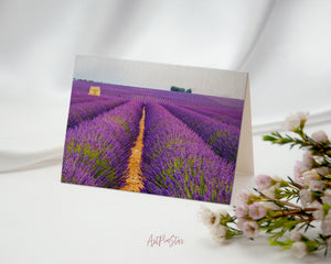 Lavender Fields Landscape Custom Greeting Cards