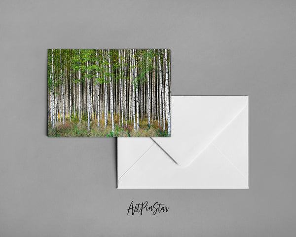 Birch Grove Trees Spring Landscape Custom Greeting Cards