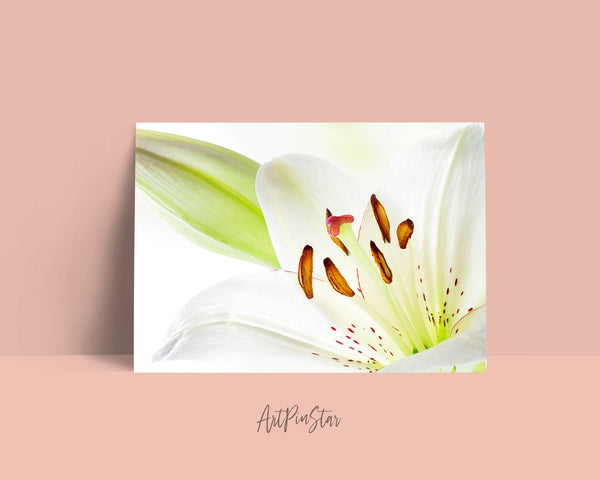 Lily Flower Photo Art Customized Gift Cards