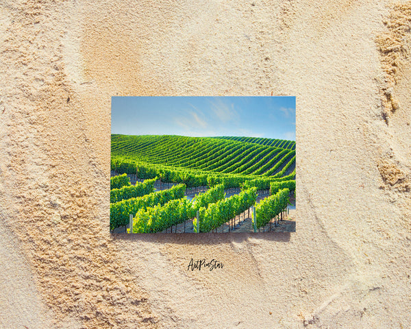 Napa Valley Vineyards, California Landscape Custom Greeting Cards