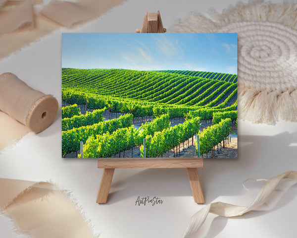 Napa Valley Vineyards, California Landscape Custom Greeting Cards