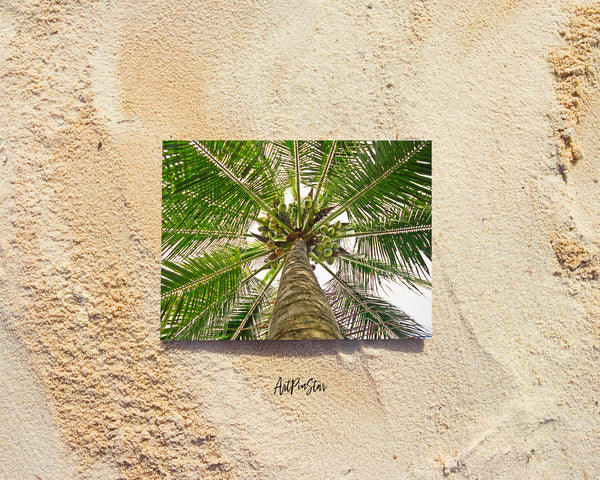 Forest Coconut Tree Landscape Custom Greeting Cards