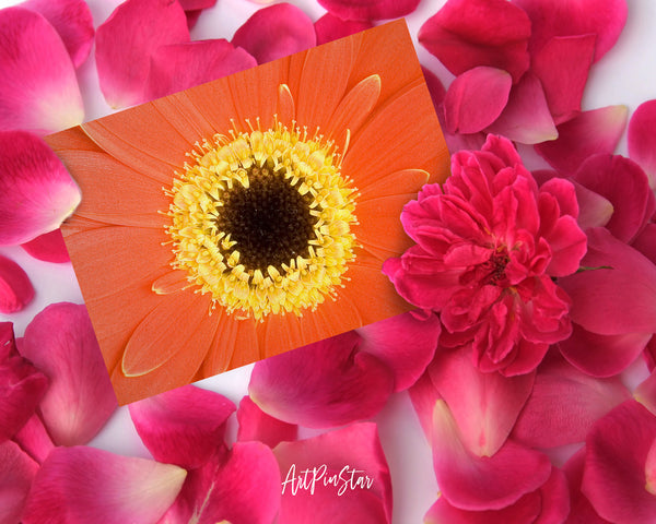Gerbera Daisy Flower Photo Art Customized Gift Cards