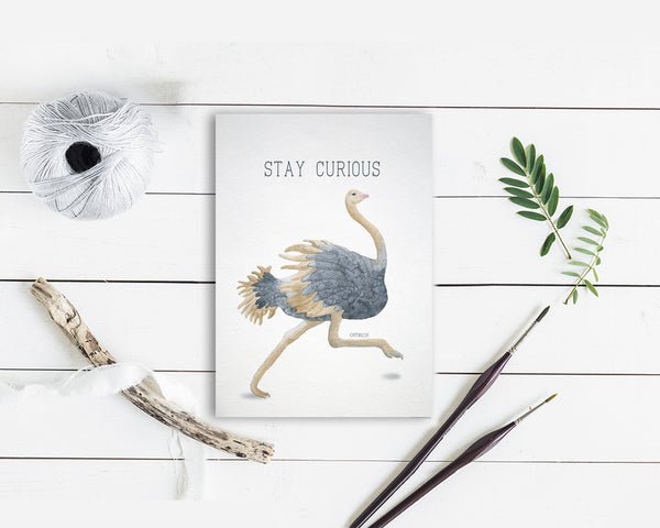 Stay Curious Ostrich Animal Greeting Cards