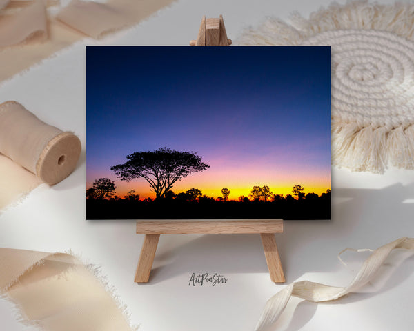 Tree Silhouettes in Africa with Sunset Landscape Custom Greeting Cards