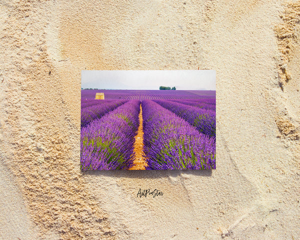 Lavender Fields Landscape Custom Greeting Cards