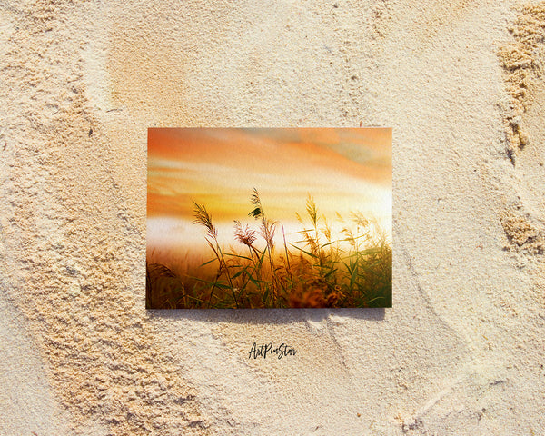 Grain Paddy Field, Foggy Morning Mist Landscape Custom Greeting Cards