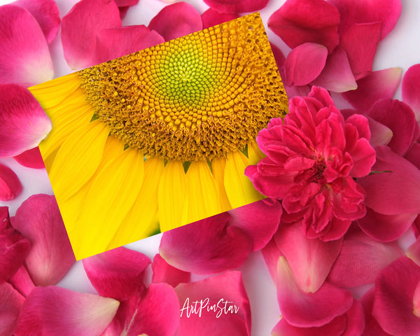 Sunflower Flower Photo Art Customized Gift Cards