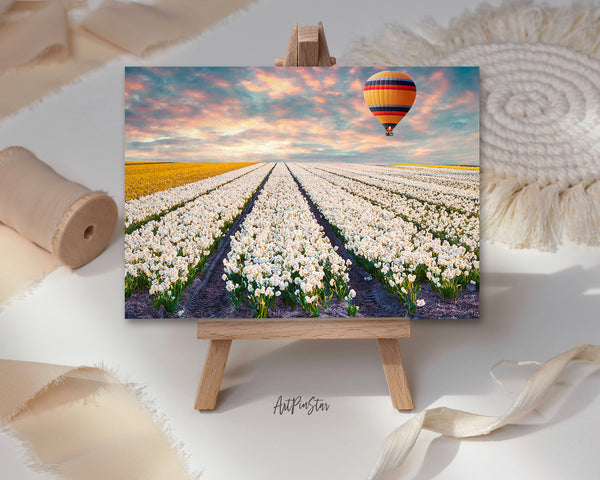 Tulip Field of Blooming White Landscape Custom Greeting Cards