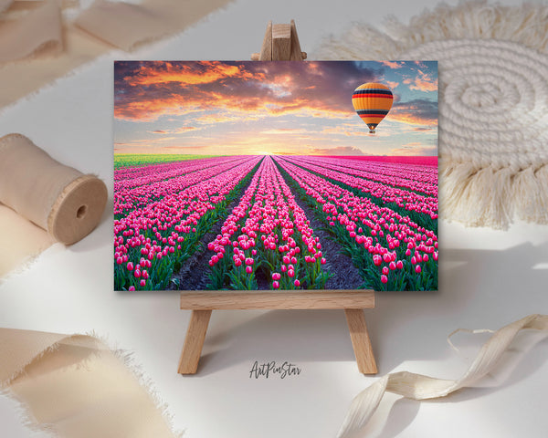 Tulip Field of Blooming Pink Landscape Custom Greeting Cards