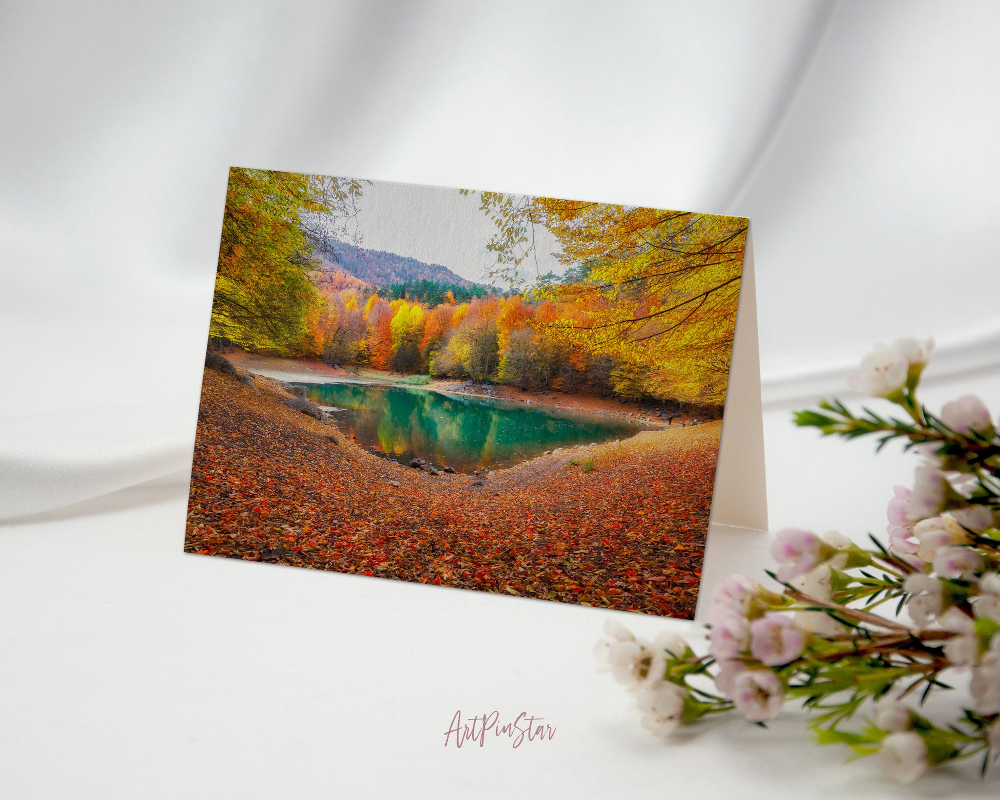 Autumn Colorful Leaves National Park Lake Magnificent Yedigoller, Bolu, Istanbul, Turkey Landscape Pattern Greeting Cards