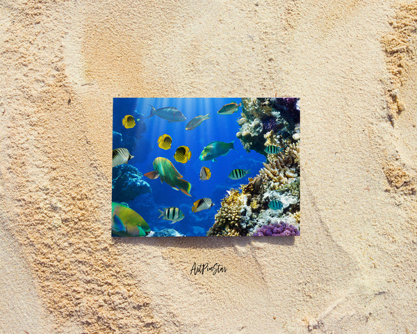 Tropical Fish In a Coral Reef Landscape Custom Greeting Cards