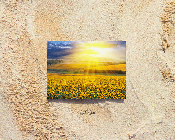 Sunflowers Sunset Summer Landscape Custom Greeting Cards
