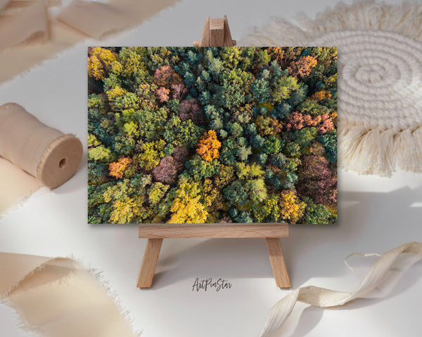 Autumn Forest Landscape Pattern Greeting Cards