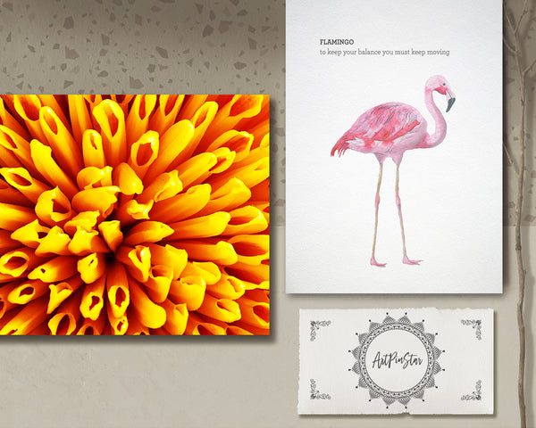 Chrysanthemum Flower Photo Art Customized Gift Cards