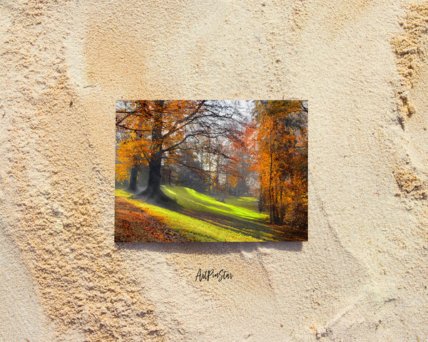 Autumn Park Path Landscape Pattern Greeting Cards