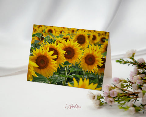 Sunflower Field Landscape Custom Greeting Cards