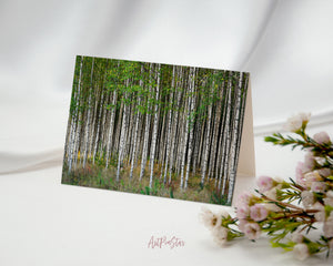 Birch Grove Trees Spring Landscape Custom Greeting Cards