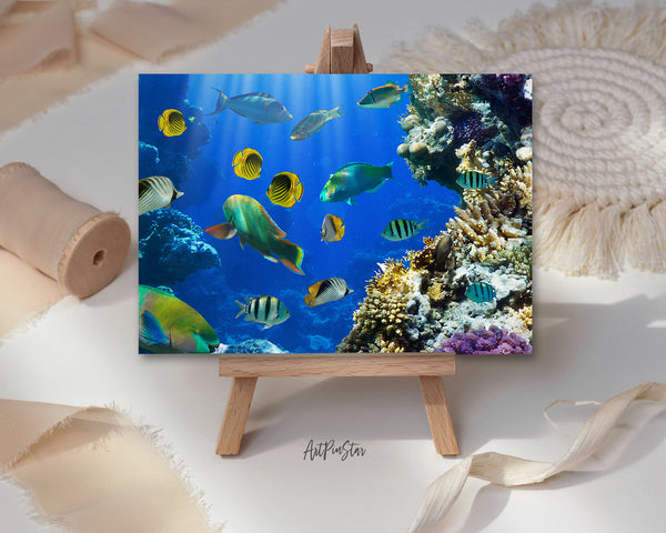 Tropical Fish In a Coral Reef Landscape Custom Greeting Cards