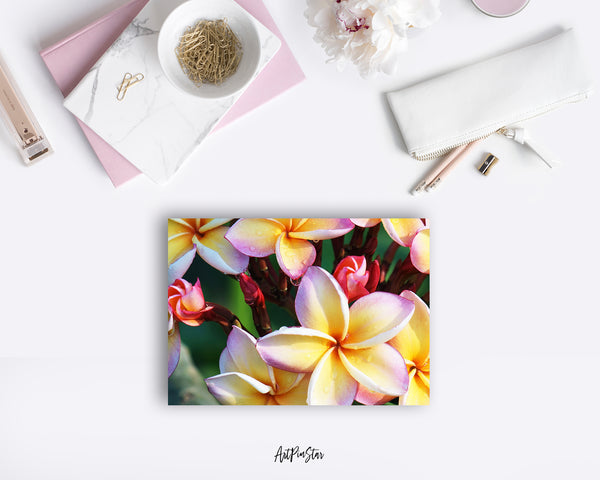 Plumeria Flower Photo Art Customized Gift Cards