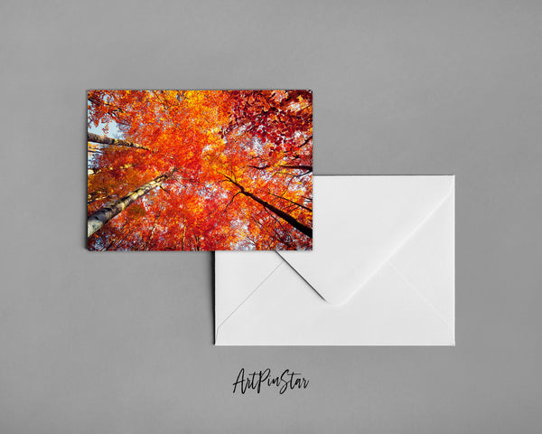 Forest Autumn Landscape Custom Greeting Cards