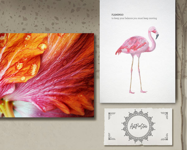 Hibiscus Flower Photo Art Customized Gift Cards