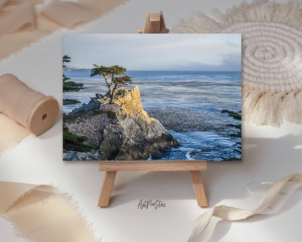 Monterey Lone Cypress Tree, California Landscape Custom Greeting Cards